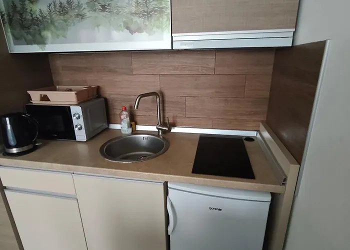 Blistava Dolina S42 *